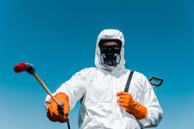 Best Termite Inspection and Treatment  in Meadowdale, WA